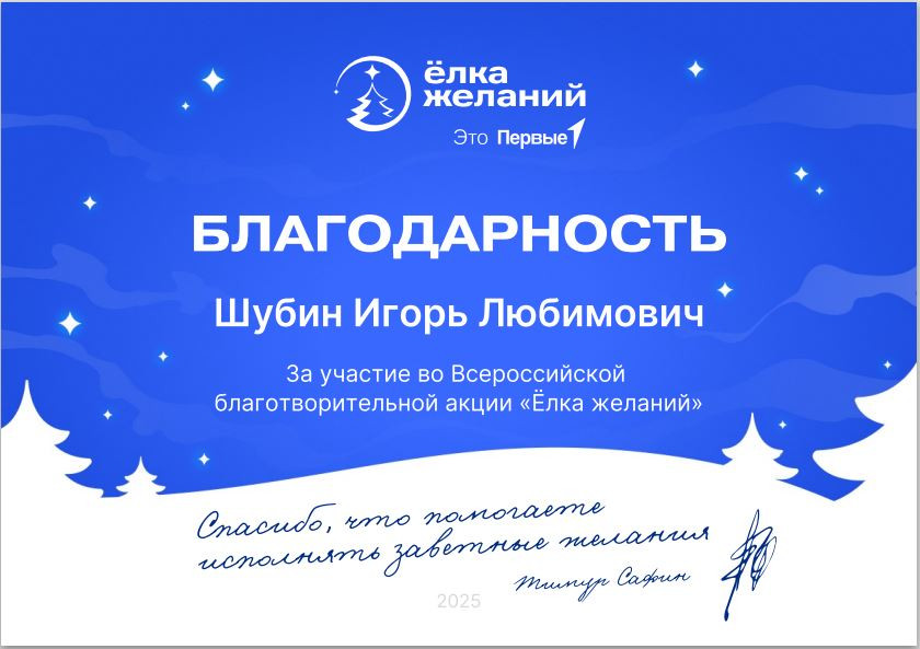 Директор НИИСФ РААСН И.Л. Шубин получил Благодарность за участие во Всероссийской благотворительной акции «Елка желаний»